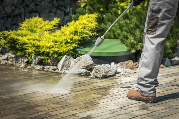Best Animal Enclosure Cleaning  in Ravensworth, VA