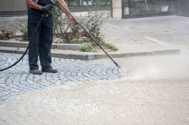Animal Enclosure Cleaning in Ravensworth, VA
