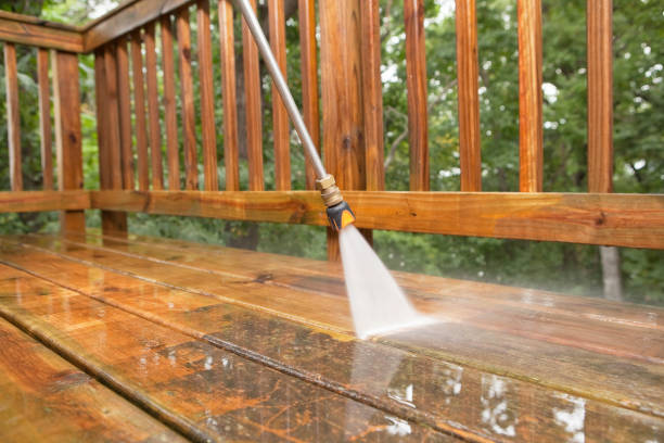 Best Solar Panel Cleaning  in Ravensworth, VA